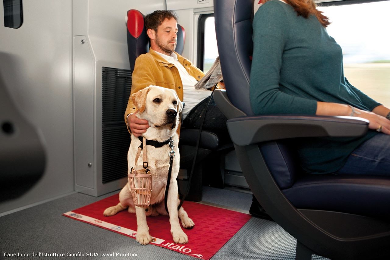 Cani e gatti viaggiano gratis sui treni