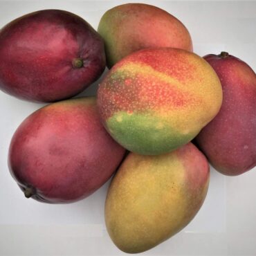 frutta e verdura clima tropicale