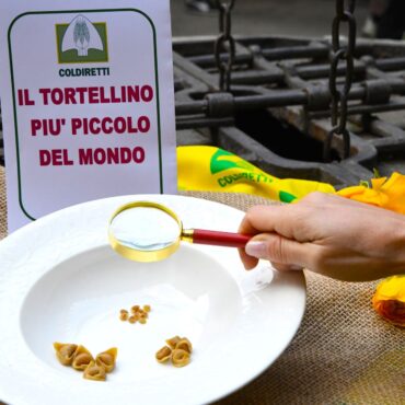 tortellino più piccolo del mondo