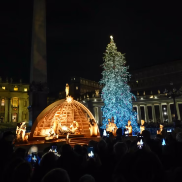 presepe e albero di Natale in Piazza San Pietro.