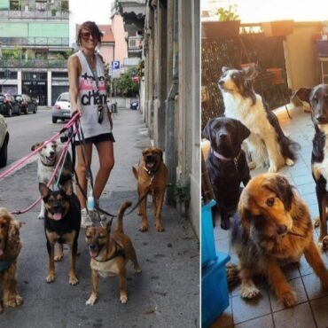 domanda pet sitter Italia