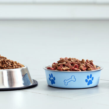 cibo per cani Altroconsumo