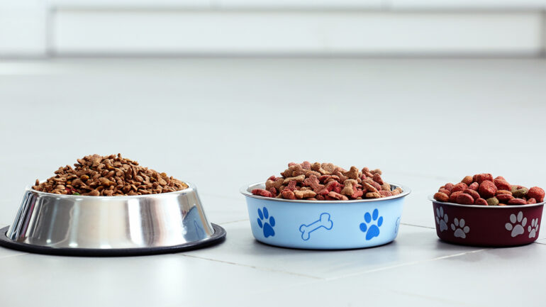 cibo per cani Altroconsumo