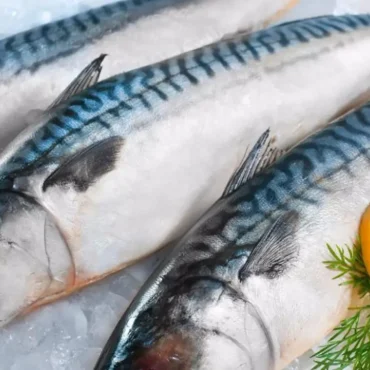 alternative al salmone omega 3