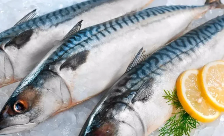 alternative al salmone omega 3