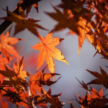 equinozio d'autunno 2026