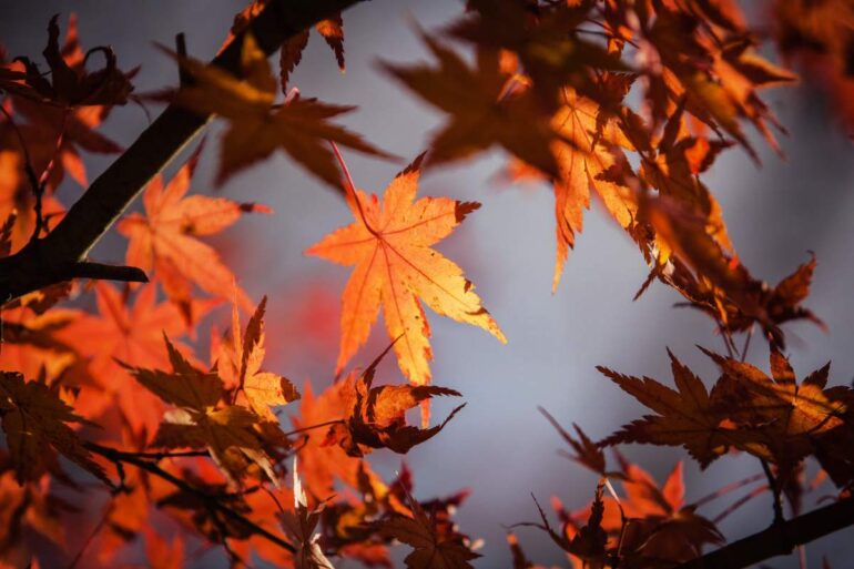 equinozio d'autunno 2026