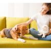 Animali domestici, quanto spendono gli italiani? Fino a 100 euro al mese per cani e gatti